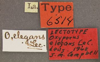 Media type: image;   Entomology 6514 Aspect: labels